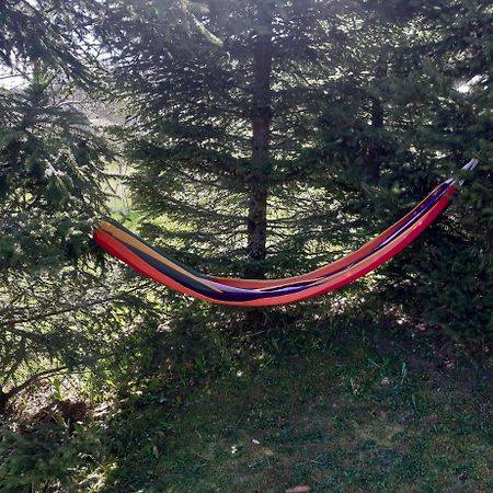 Holiday Home Cancarevic Ravna Gora Buitenkant foto