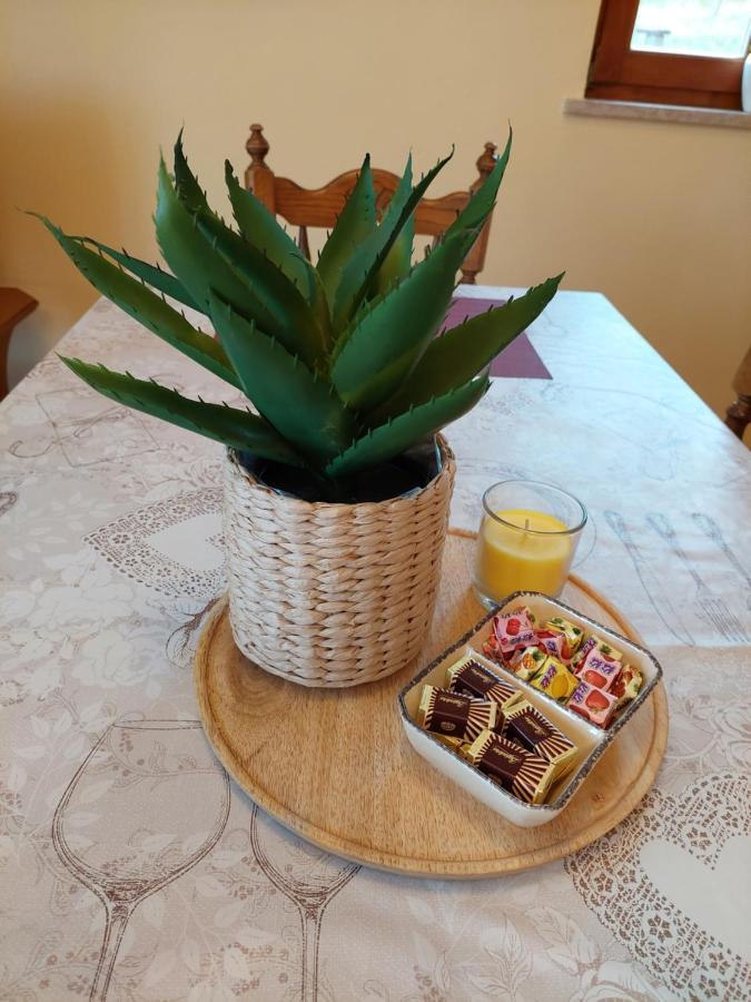 Holiday Home Cancarevic Ravna Gora Buitenkant foto